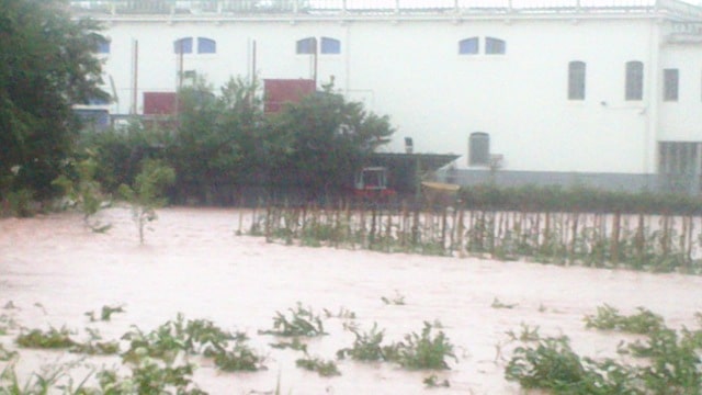10h04