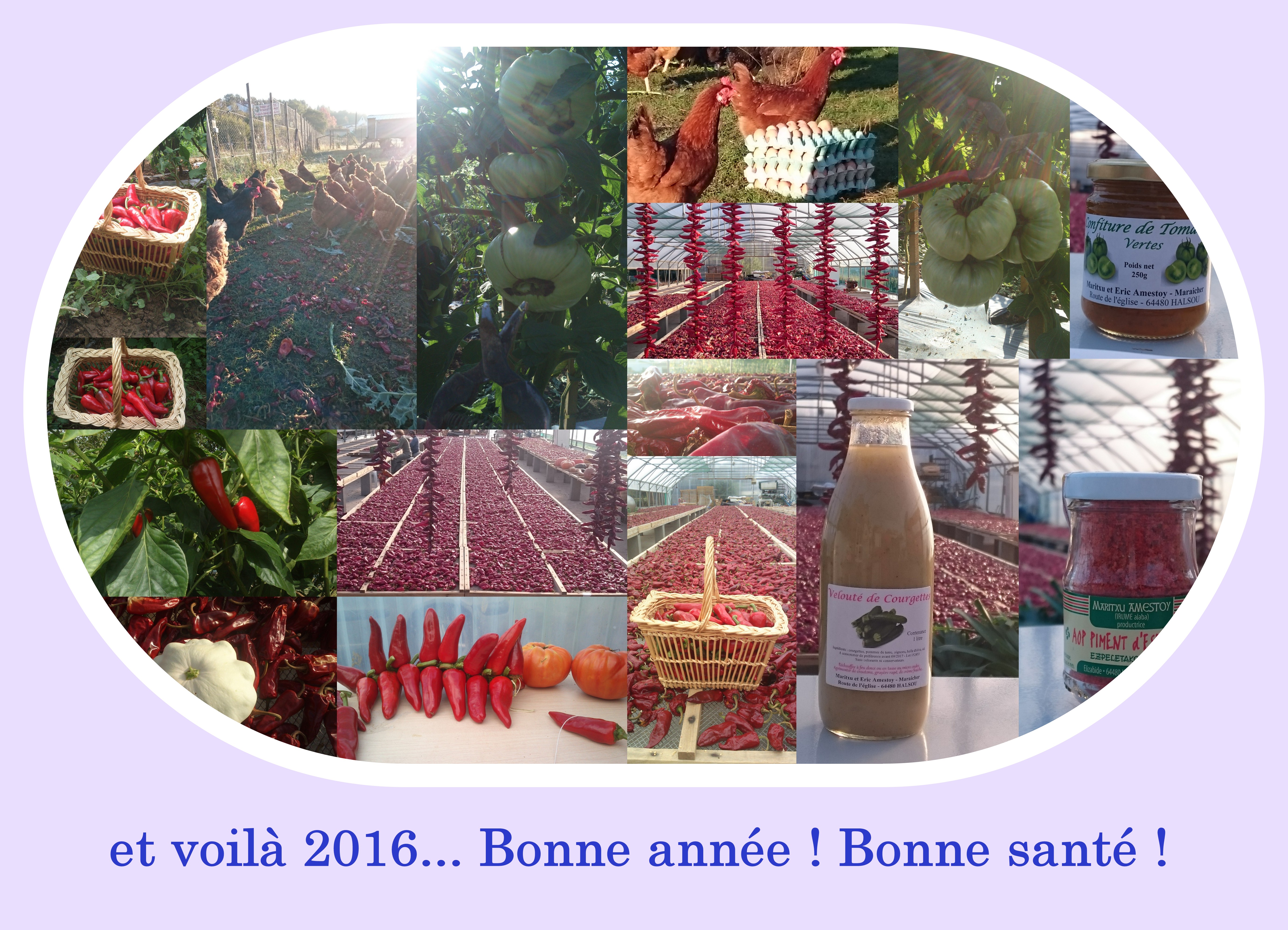 voeux 2016 solo